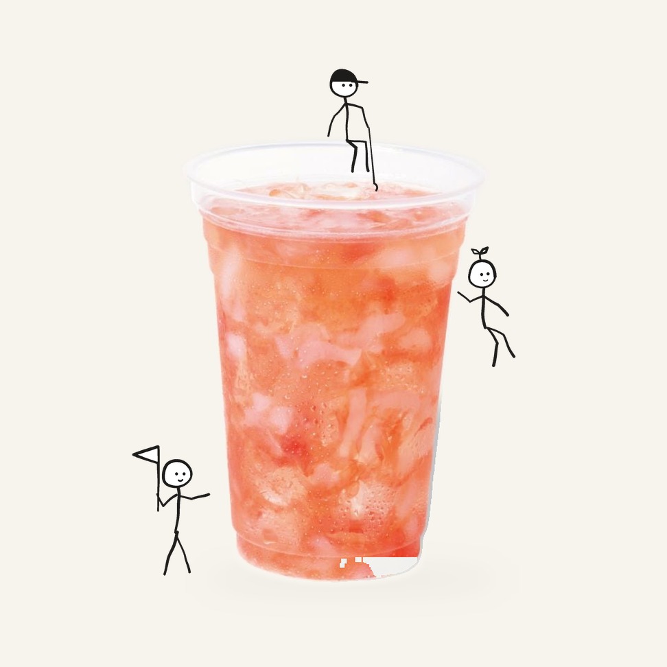 Frozen Fruit Sauce Grapefruit & Nata de Coco 90g