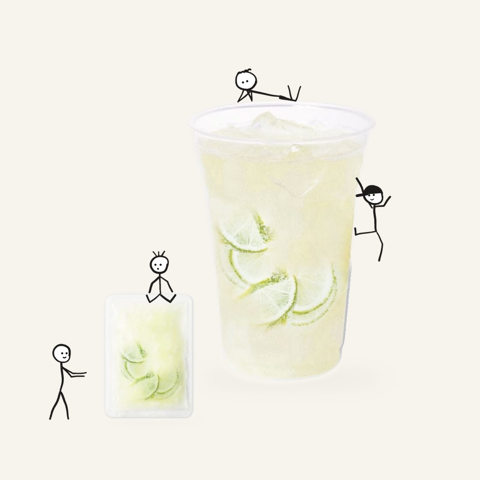 Perfume Lemon (Xiangshui lemon) 50g × 10 bags